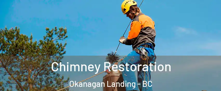  Chimney Restoration Okanagan Landing - BC