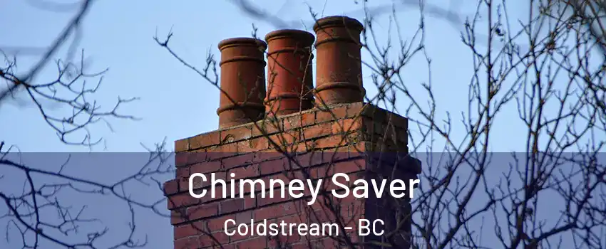  Chimney Saver Coldstream - BC