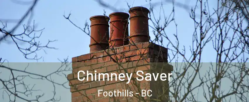  Chimney Saver Foothills - BC