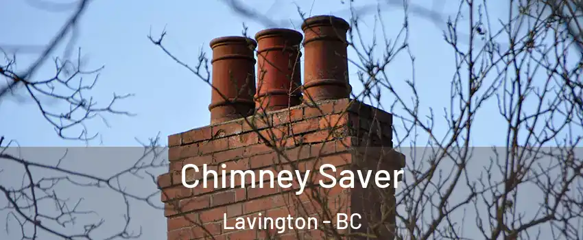  Chimney Saver Lavington - BC
