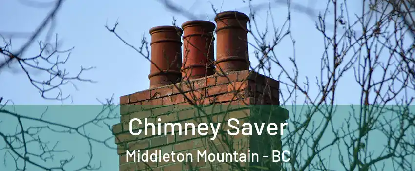  Chimney Saver Middleton Mountain - BC