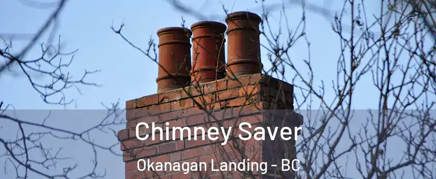  Chimney Saver Okanagan Landing - BC