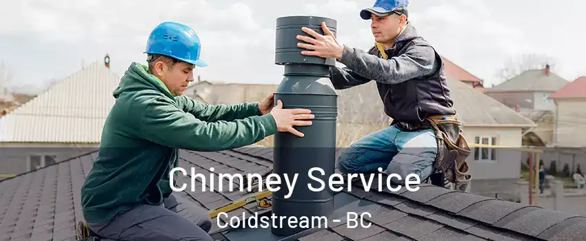  Chimney Service Coldstream - BC