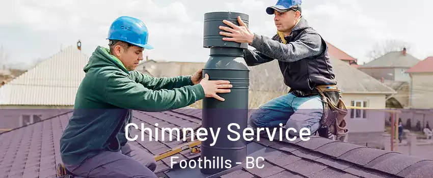  Chimney Service Foothills - BC