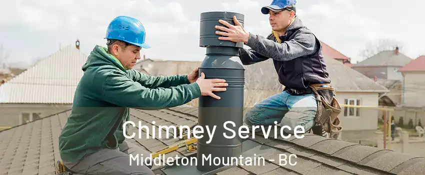  Chimney Service Middleton Mountain - BC