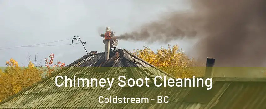  Chimney Soot Cleaning Coldstream - BC