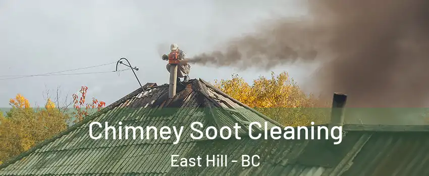  Chimney Soot Cleaning East Hill - BC