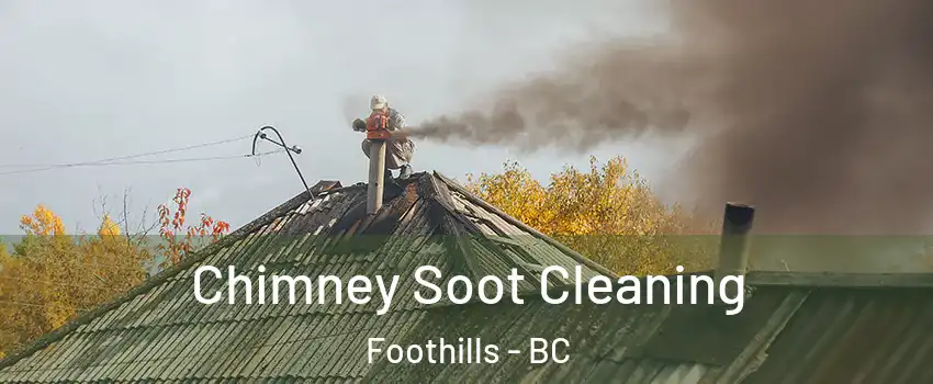  Chimney Soot Cleaning Foothills - BC