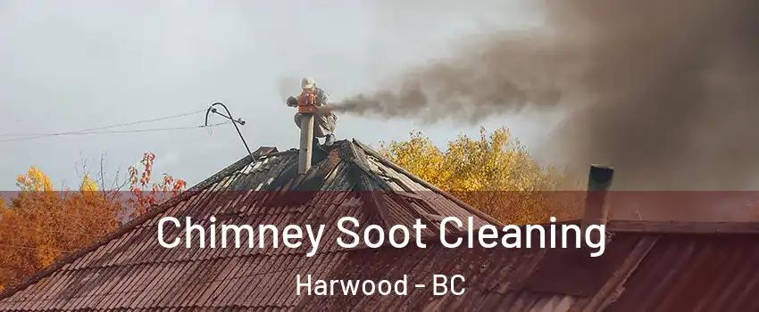  Chimney Soot Cleaning Harwood - BC