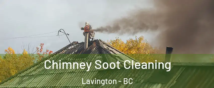  Chimney Soot Cleaning Lavington - BC