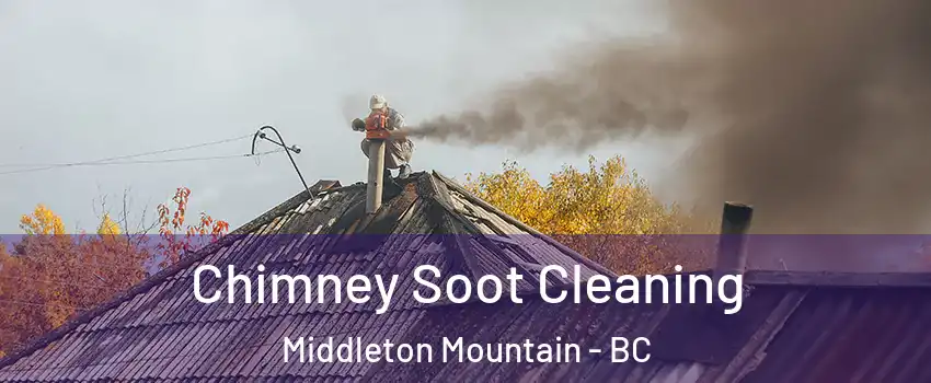  Chimney Soot Cleaning Middleton Mountain - BC