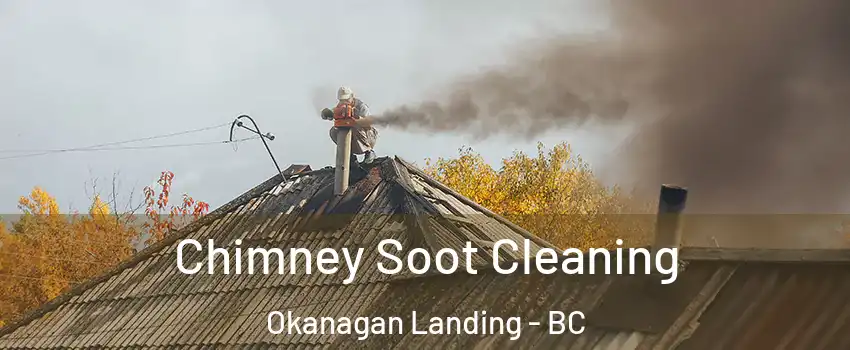 Chimney Soot Cleaning Okanagan Landing - BC