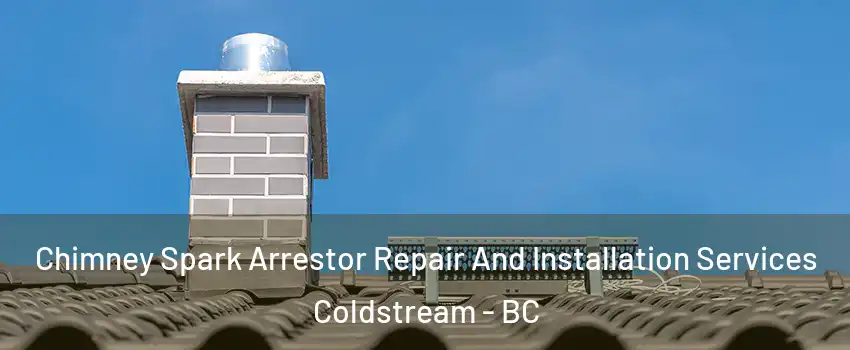  Chimney Spark Arrestor Repair And Installation Services Coldstream - BC