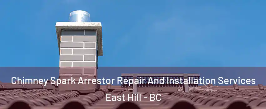  Chimney Spark Arrestor Repair And Installation Services East Hill - BC
