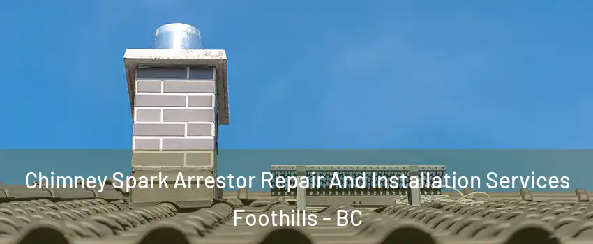  Chimney Spark Arrestor Repair And Installation Services Foothills - BC