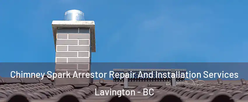  Chimney Spark Arrestor Repair And Installation Services Lavington - BC
