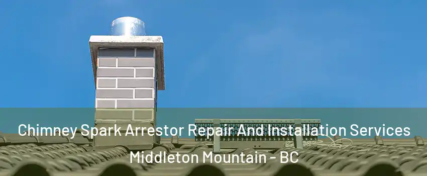  Chimney Spark Arrestor Repair And Installation Services Middleton Mountain - BC