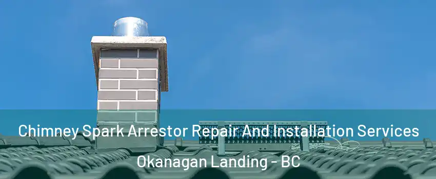  Chimney Spark Arrestor Repair And Installation Services Okanagan Landing - BC
