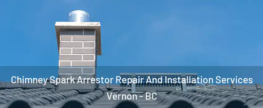  Chimney Spark Arrestor Repair And Installation Services Vernon - BC