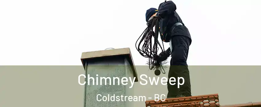  Chimney Sweep Coldstream - BC
