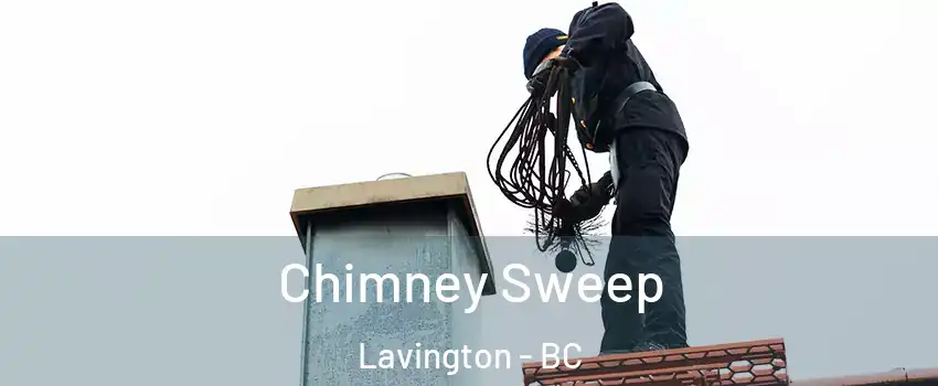  Chimney Sweep Lavington - BC