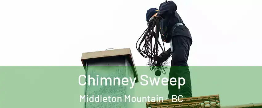  Chimney Sweep Middleton Mountain - BC