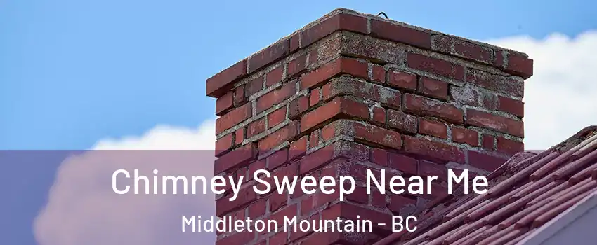  Chimney Sweep Near Me Middleton Mountain - BC