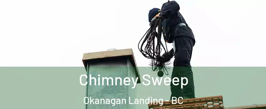 Chimney Sweep Okanagan Landing - BC