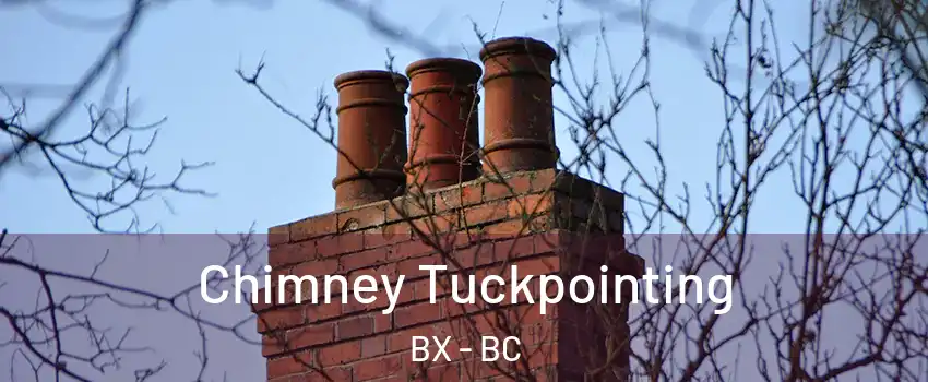  Chimney Tuckpointing BX - BC