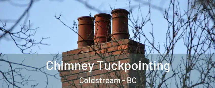  Chimney Tuckpointing Coldstream - BC