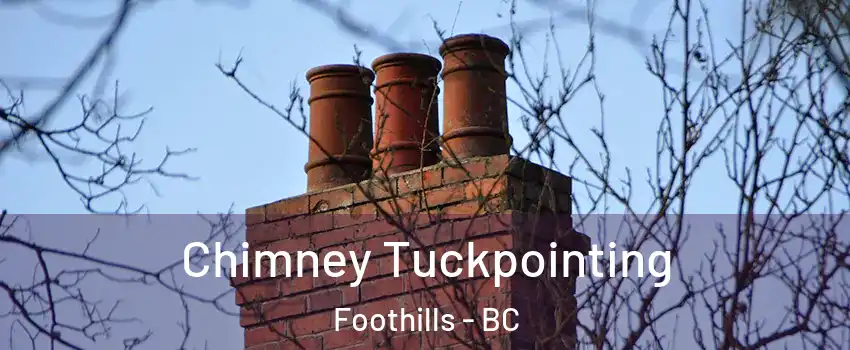  Chimney Tuckpointing Foothills - BC