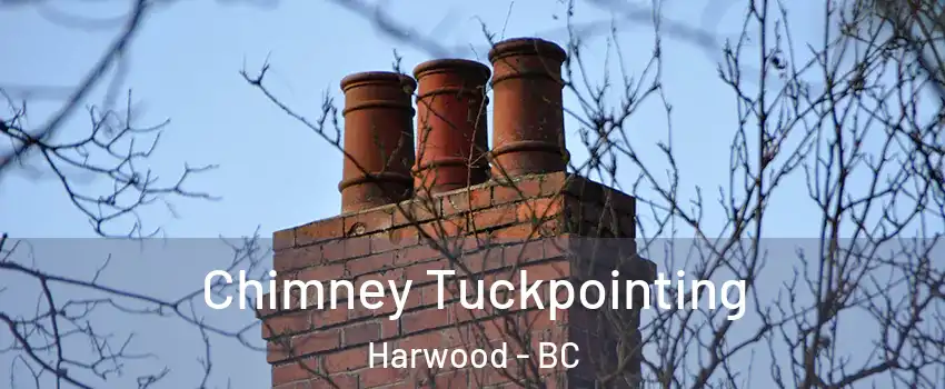  Chimney Tuckpointing Harwood - BC