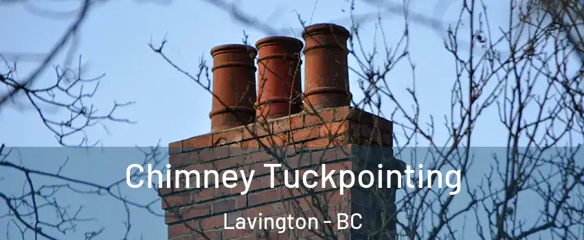  Chimney Tuckpointing Lavington - BC
