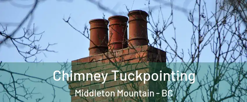  Chimney Tuckpointing Middleton Mountain - BC