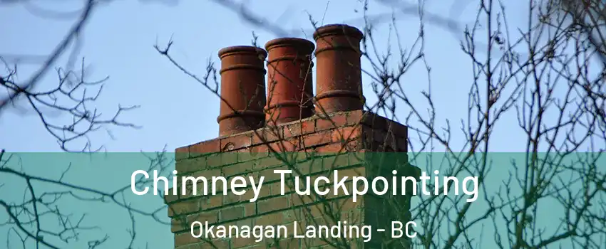  Chimney Tuckpointing Okanagan Landing - BC