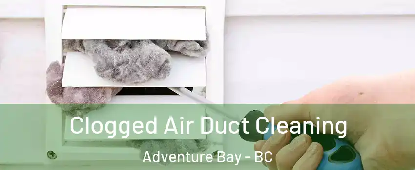  Clogged Air Duct Cleaning Adventure Bay - BC