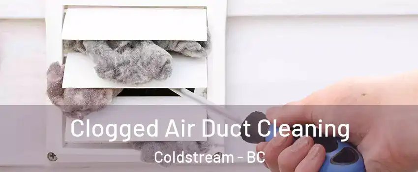  Clogged Air Duct Cleaning Coldstream - BC