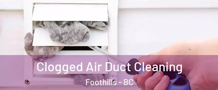  Clogged Air Duct Cleaning Foothills - BC