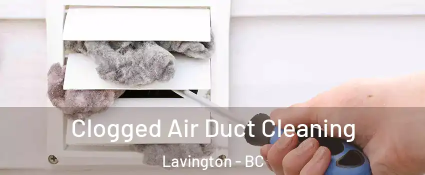  Clogged Air Duct Cleaning Lavington - BC
