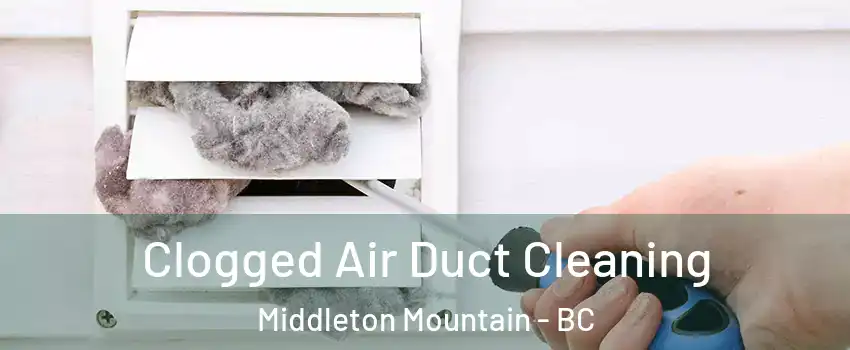  Clogged Air Duct Cleaning Middleton Mountain - BC