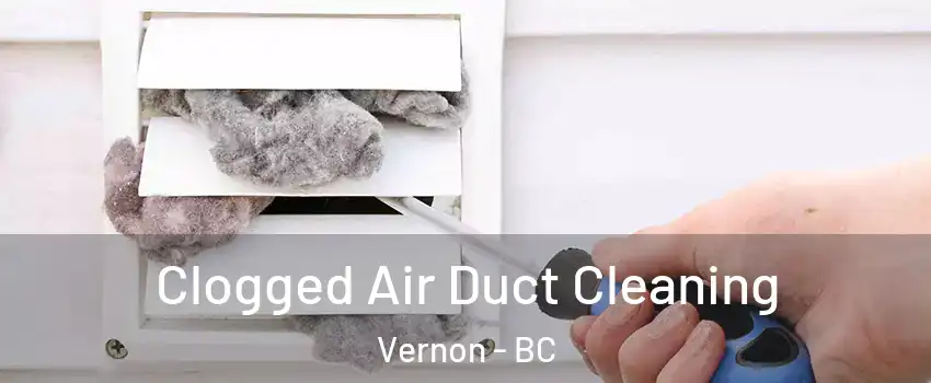  Clogged Air Duct Cleaning Vernon - BC