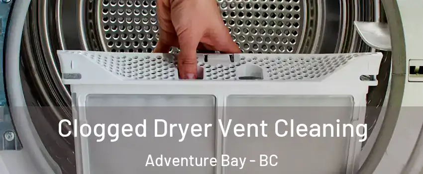  Clogged Dryer Vent Cleaning Adventure Bay - BC
