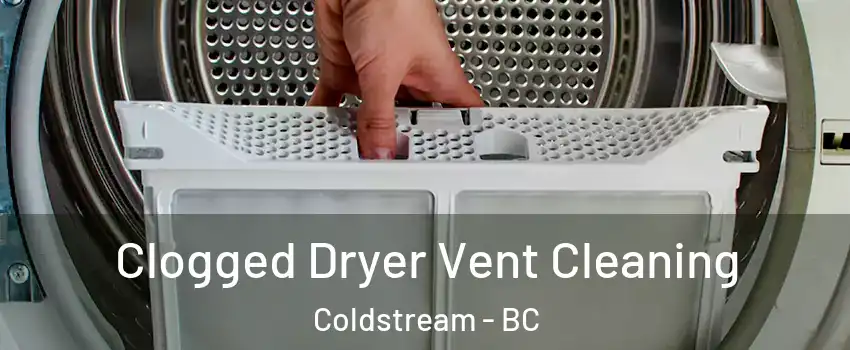  Clogged Dryer Vent Cleaning Coldstream - BC