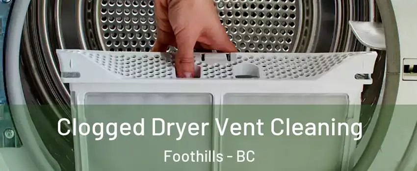  Clogged Dryer Vent Cleaning Foothills - BC