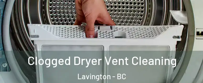  Clogged Dryer Vent Cleaning Lavington - BC