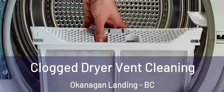  Clogged Dryer Vent Cleaning Okanagan Landing - BC