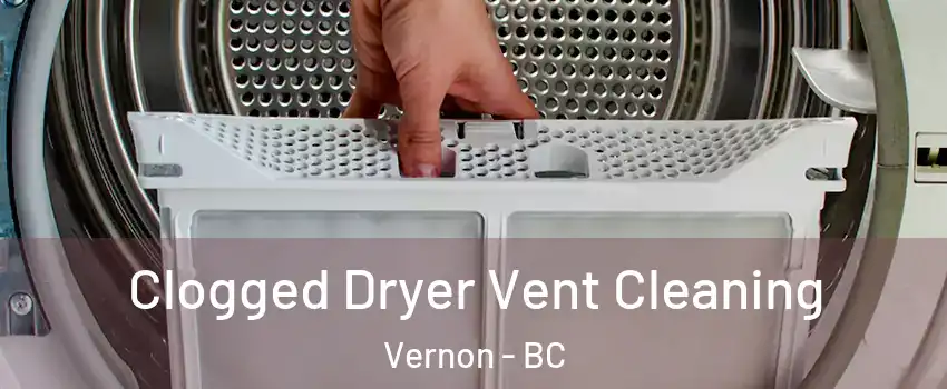  Clogged Dryer Vent Cleaning Vernon - BC