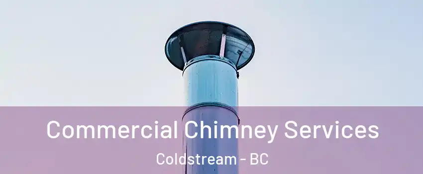 Commercial Chimney Services Coldstream - BC