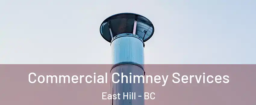  Commercial Chimney Services East Hill - BC