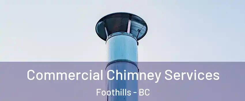  Commercial Chimney Services Foothills - BC